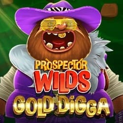 Prospector Wilds_ Gold Digga screenshot